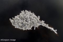 LOB_Stimpson_DJI_0010
