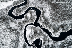 OP_Oxtongue_DJI_0035