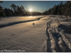Algonquin Prov Park - minus 20, February