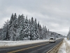 Highway 60, Algonquin Provincial Park, Ontario