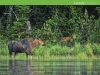 2015 Ontario Parks Guide inside