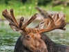 2014 Ontario Parks Guide cover