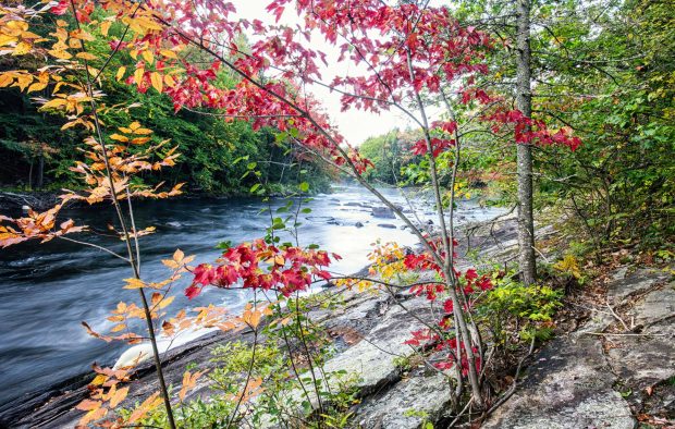 Algonquin One-Day Fall Foliage Adventure 2026