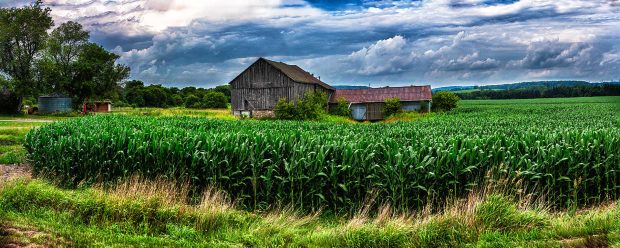 Photographing the Landscapes of Prince Edward County & Beyond