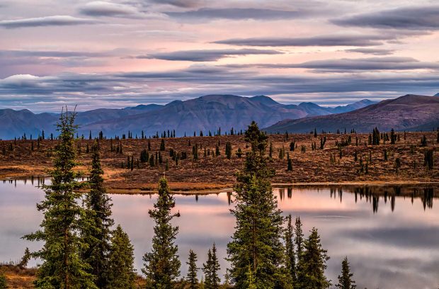 Adventures in the Mackenzie Mountains